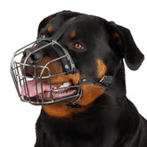 BRONZEDOG museau métallique basket grand chien, protection efficace lors des sorties.