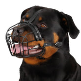 BRONZEDOG muselière Panier métallique, grande taille, sécurité renforcée pour chien.