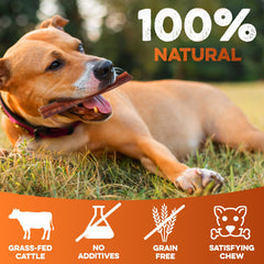 BRUTUS & BARNABY batons-a-macher-denses-6-pouces – parfait pour chiens actifs