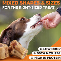 BRUTUS ET BARNABY Bouchées Bully Stick, tailles petites et moyennes adaptées.