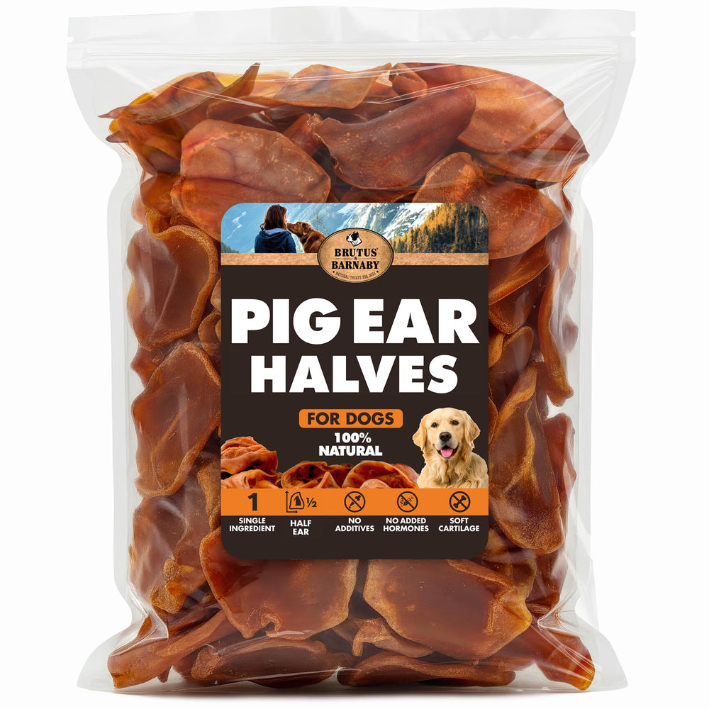 BRUTUS & BARNABY oreille porc demi pour chiens – texture croquante et naturelle pour récompenser.