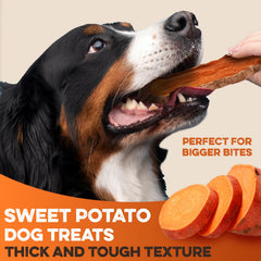 BRUTUS & BARNABY patates douces cultivées aux États‑Unis.