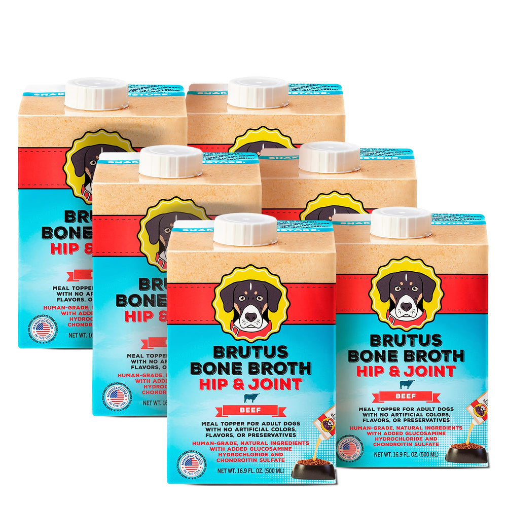 Brutus Bouillon Os de Boeuf pour Chiens — bouteille pour verser sur croquettes et améliorer l'appétit.