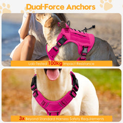 Bruvoalon harnais confort respirant, padding en mesh pour chiens actifs.