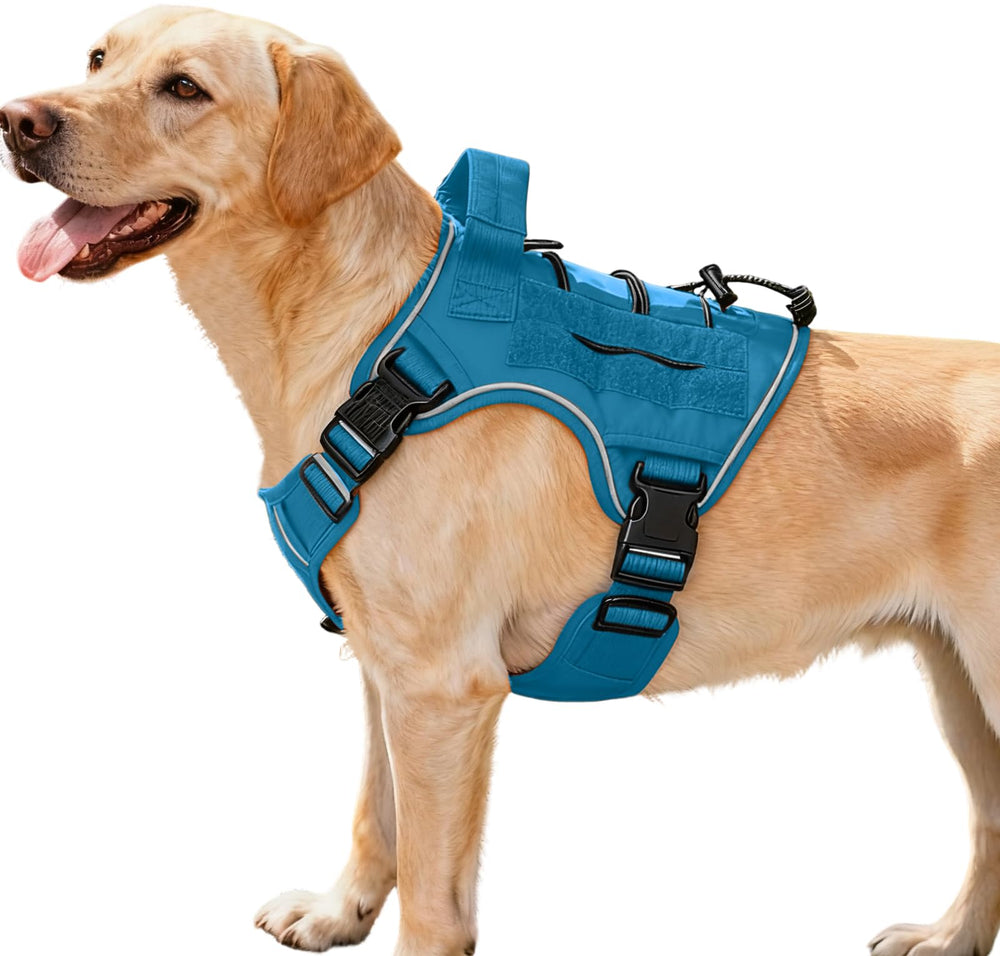 Bruvoalon harnais tactique face: répartition du poids pour grands chiens.