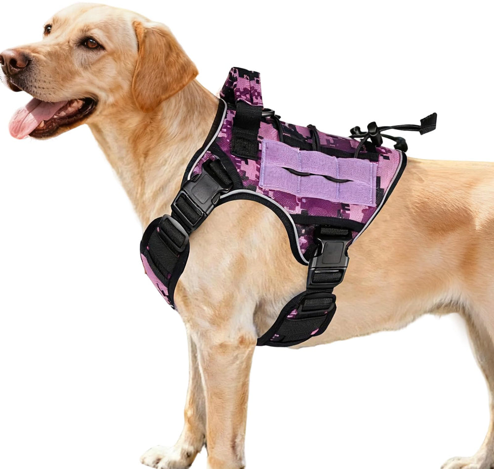 Harnais tactique Bruvoalon pour chien puissant avec système MOLLE et durabilité