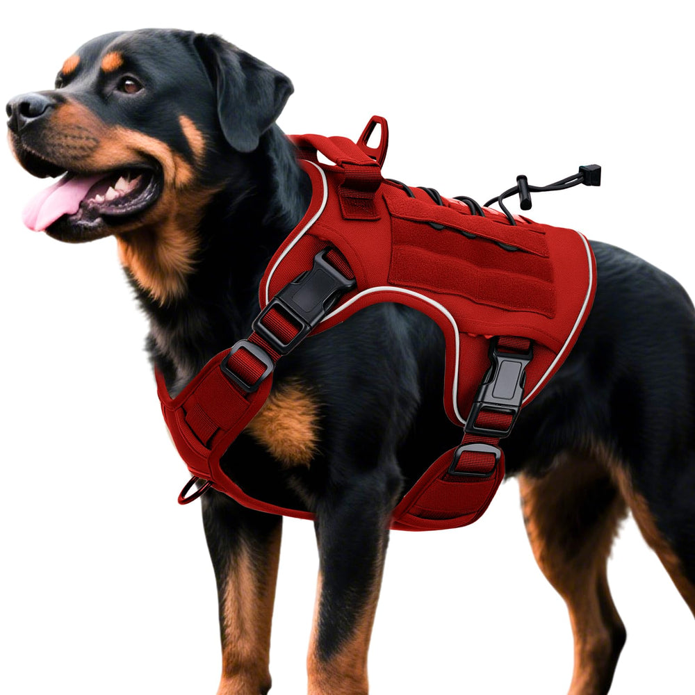 Harnais Bruvoalon pour grand chien — durable et robuste pour travaux et promenades.