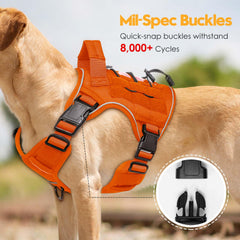 Système MOLLE Bruvoalon pour fixer accessoires et patchs