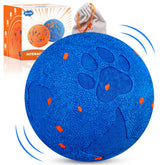 Bryxkla ball interactif pour chiens moyens et grands en mouvement