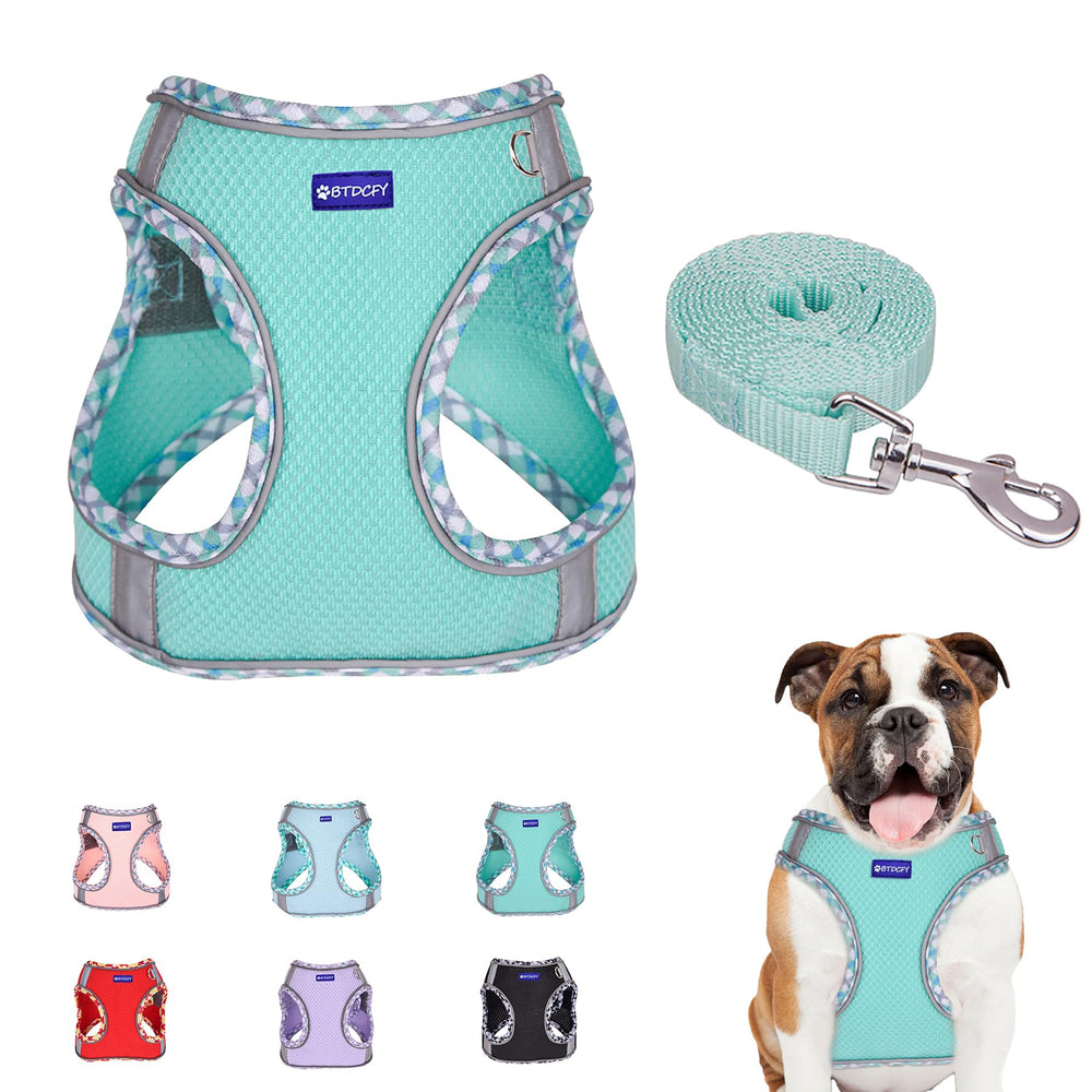 BTDCFY harnais maille ventilé vert pour le confort lors des balades.