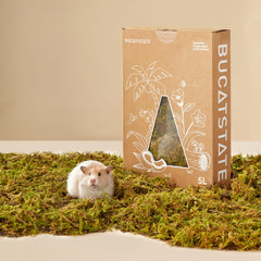 Litière Bucatstate mousse-forêt naturelle 5L, absorbe et apaise le confort des hamsters
