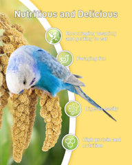 BUCATSTATE millet spray emballage hermetique pour conservation de la fraîcheur.