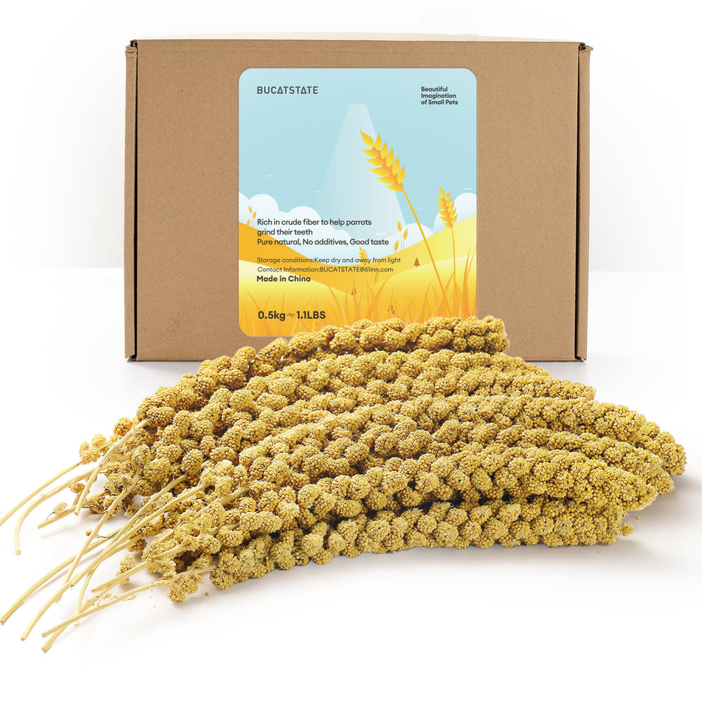 BUCATSTATE spray de millet en sachet 1,1 lb pour oiseaux, pratique et naturel.