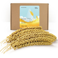 BUCATSTATE spray de millet en sachet 1,1 lb pour oiseaux, pratique et naturel.