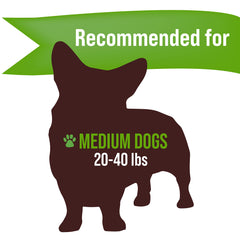 Buck Bone Organics – source États-Unis pour corne d'élan, pratique et traçable.