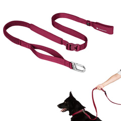 BuddyArmor laisse main libre ajustable en action pour une promenade fluide