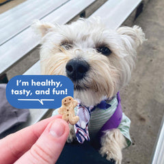 Buddy Biscuits sans maïs, soja, arômes ni colorants artificiels.
