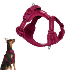 BuddyArmor Harnais chien tout-terrain offrant confort durable pour promenades quotidiennes