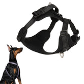 Harnais BuddyArmor forme en H ajusté pour un confort optimal lors des sorties.