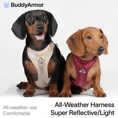 BuddyArmor Harnais à dégagement rapide, mise en place simple.
