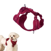 Harnais BuddyArmor tout temps avec tissu doux et confortable pour usage quotidien