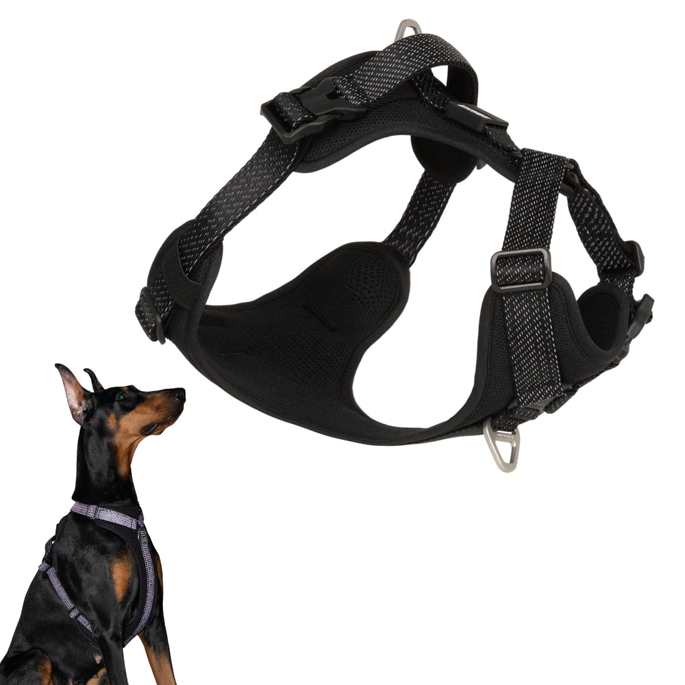 BuddyArmor harnais tout temps: confort constant pour promenades quotidiennes.