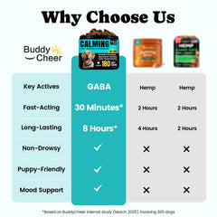 Friandises BuddyCheer sur canapé, respiration détendue et moment de détente pour chien.