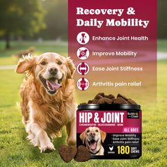 Gommes BuddyCheer glucosamine pour chiens, texture facile à mâcher pour les articulations.