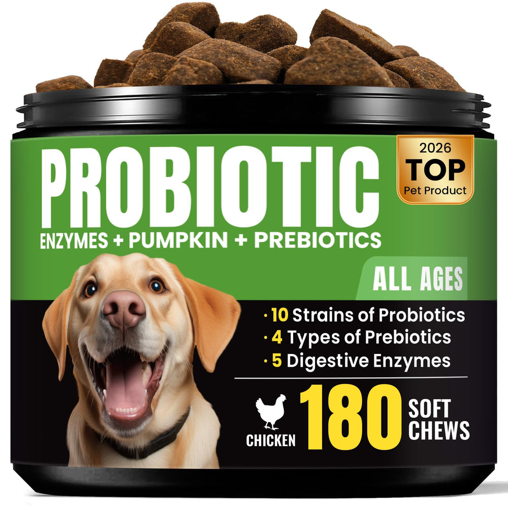 BuddyCheer Probiotiques pour chien: bouteille de bouchées soutenant la digestion.