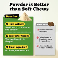 BuddyCheer Probiotiques chien – poudre sur nourriture, pratique et simple