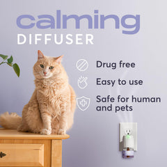 BuddyJoy kit-chat-diffuseurs-recharges, solution pratique pour plusieurs pièces.