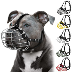 Budkas muselière pour pitbull, masque métallique et ventilation confortable.