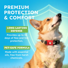 BugMD Paw Guardian – Boucle compatible colliers et harnais, facile à attacher.