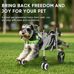 Buifact chariot pour chien avec soutien ventral pour un confort quotidien.