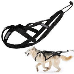 Harnais Traîneau BuleVina taille L pour chien moyen, ajustement sûr.
