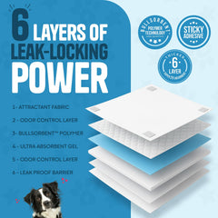 Bulldogology pads attractant phéromones intégré pour le dressage pratique.