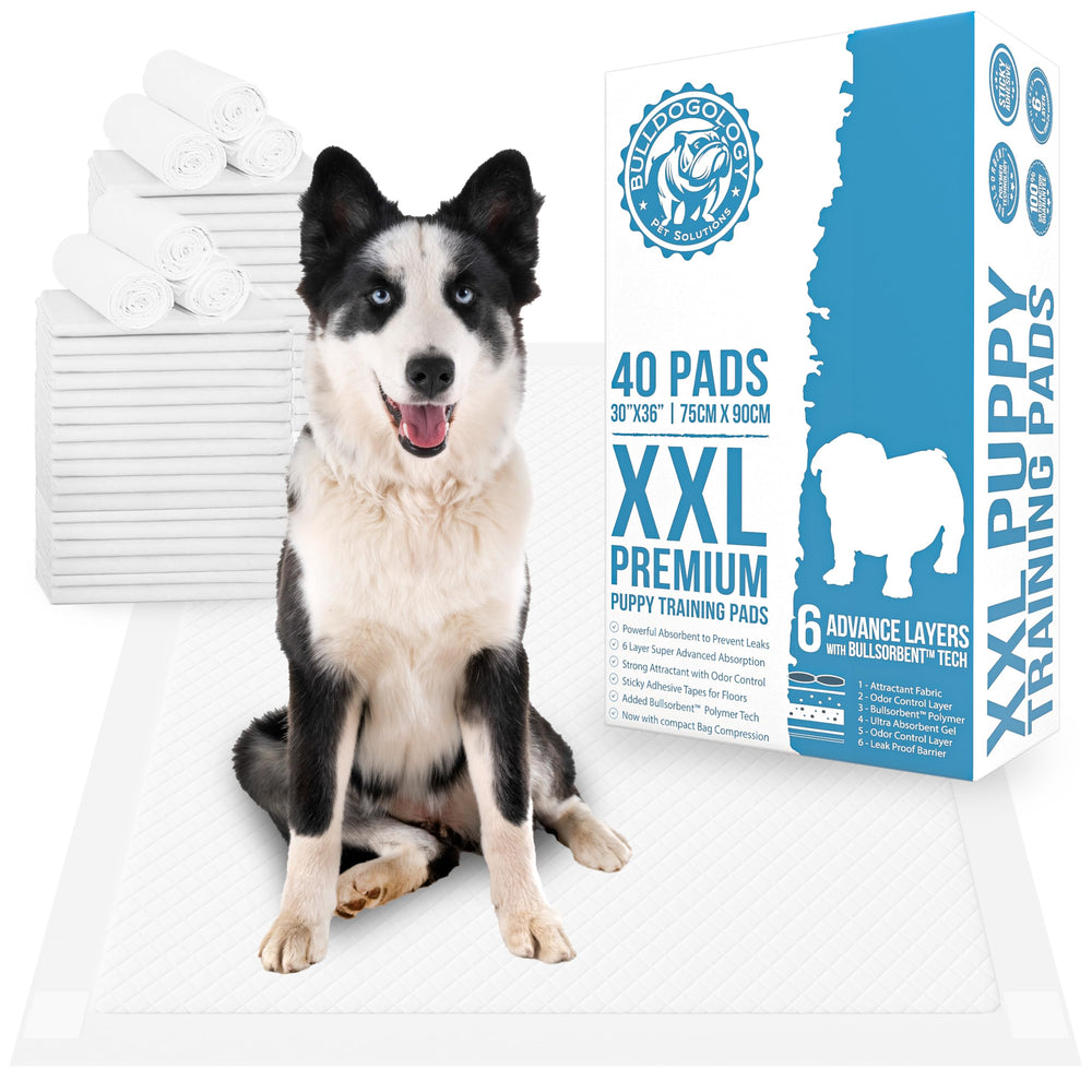 Bulldogology Premium XXL Puppy Pad avec languettes adhésives pour surface stable et propre.