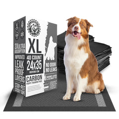 Bulldogology tapis-pipi XL 24x35, absorption rapide et charbon actif.
