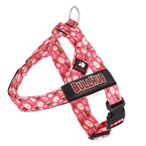 BullHug harnais ajustable pour chien XS offrant un contrôle doux pendant les promenades.