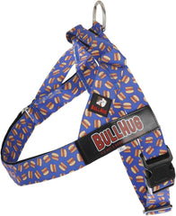 BullHug harnais-chien-ajustable, confort et sécurité lors des promenades quotidiennes.