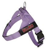 BullHug harnais chien réglable violet taille S pour promenades confortables
