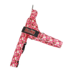 BullHug harnais sans traction pour chien, confort lors des sorties quotidiennes.