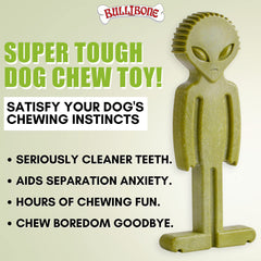 Bullibone Alien Bone — texture brosse-dent qui masse les gencives