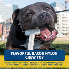 Bullibone os nylon durable, résistant aux mâchoires puissantes et alternative sûre aux os à ronger.