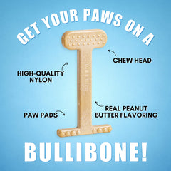 Bullibone os-nylon-gout-beurre-cacahuete-longue-duree: goût persistant pour les chiens exigeants.