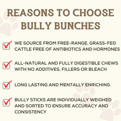 Bully Bunches – baton de 12 pouces sans odeur, solution agréable pour chiens sensibles.