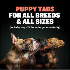 Bully Max tablettes chiot – portions pratiques pour le développement quotidien