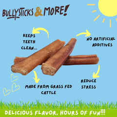 BULLYSTICKS & MORE Paquet de 12 morceaux, pratique pour le partage.