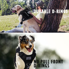 Harnais tactique BUMBIN vu arriere, ajustement sur et securite pour chien actif.