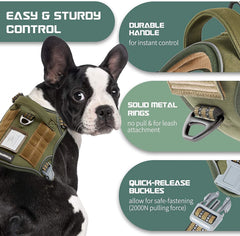 Harnais BUMBIN avec MOLLE: personnalisation et patches possibles.